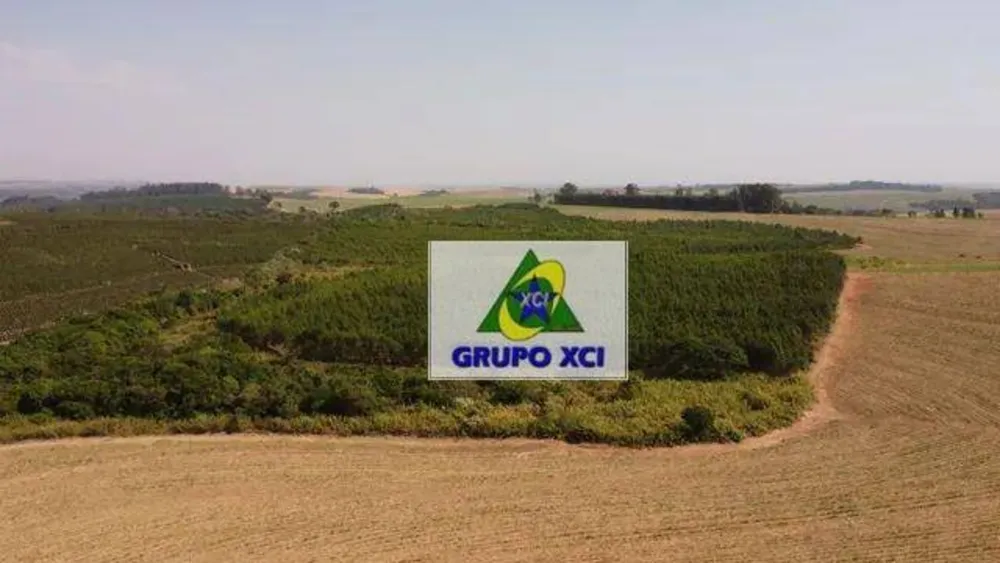 Fazenda, 169 hectares - Foto 4