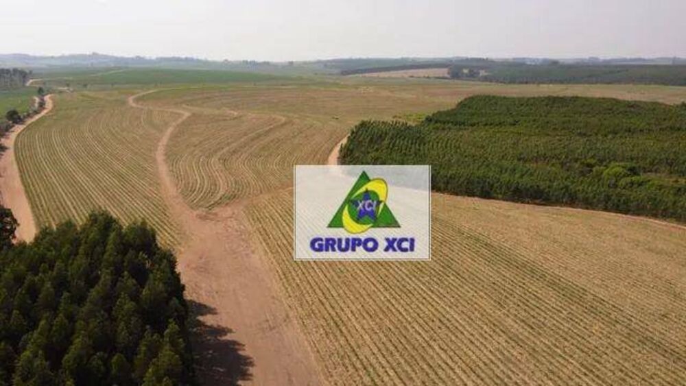 Fazenda, 169 hectares - Foto 1