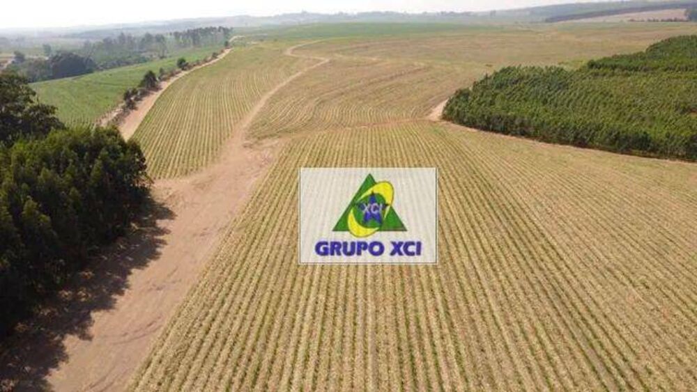 Fazenda, 169 hectares - Foto 4