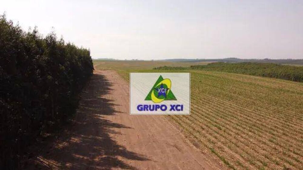 Fazenda, 169 hectares - Foto 3
