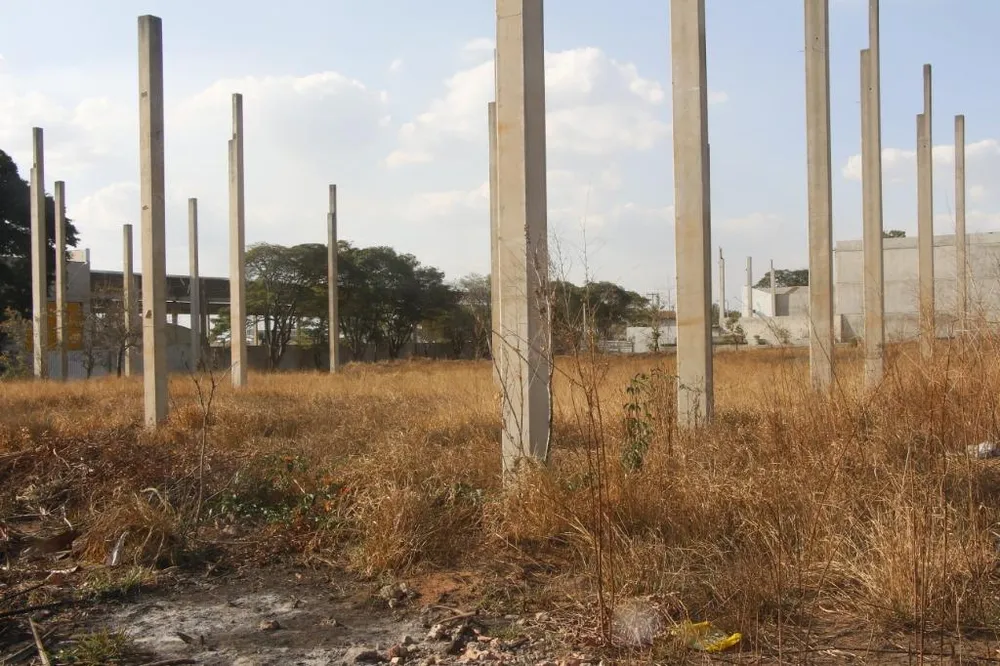 Terreno, 5000 m² - Foto 5