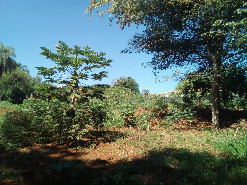 Terreno, 1000 m² - Foto 6