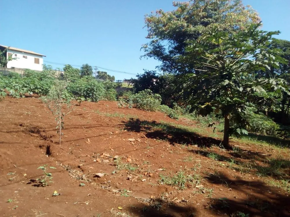 Terreno, 1000 m² - Foto 5