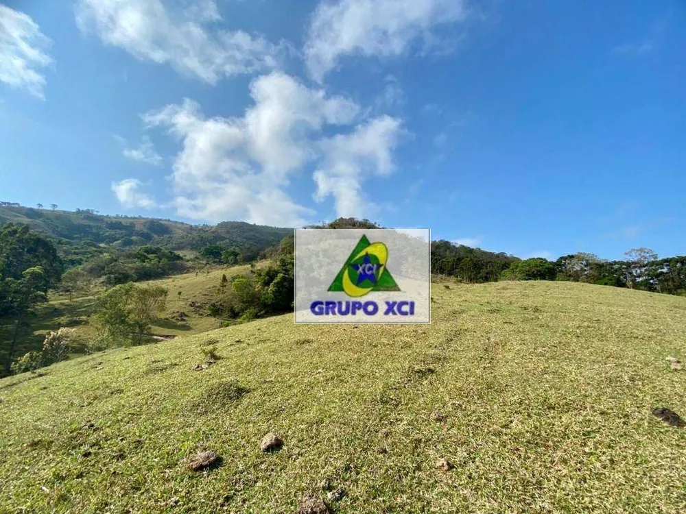 Sítio, 3 quartos, 48 hectares - Foto 3