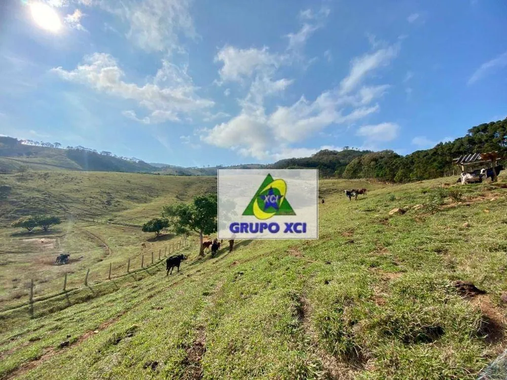 Sítio, 3 quartos, 48 hectares - Foto 4