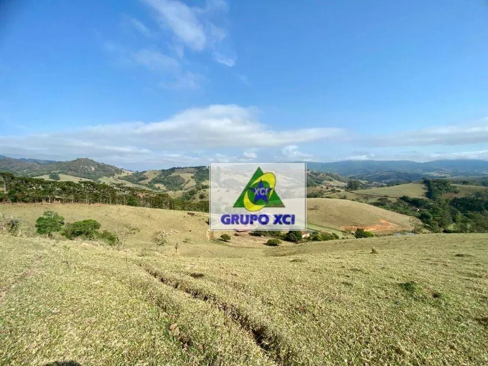 Sítio, 3 quartos, 48 hectares - Foto 9