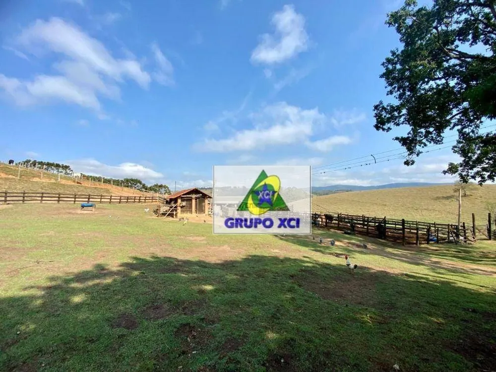 Sítio, 3 quartos, 48 hectares - Foto 12