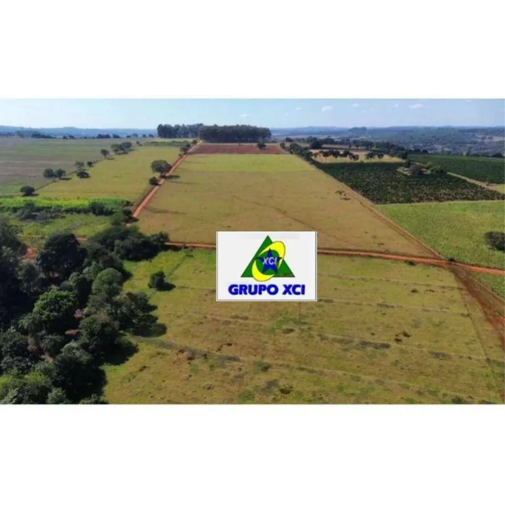 Fazenda, 16 hectares - Foto 7