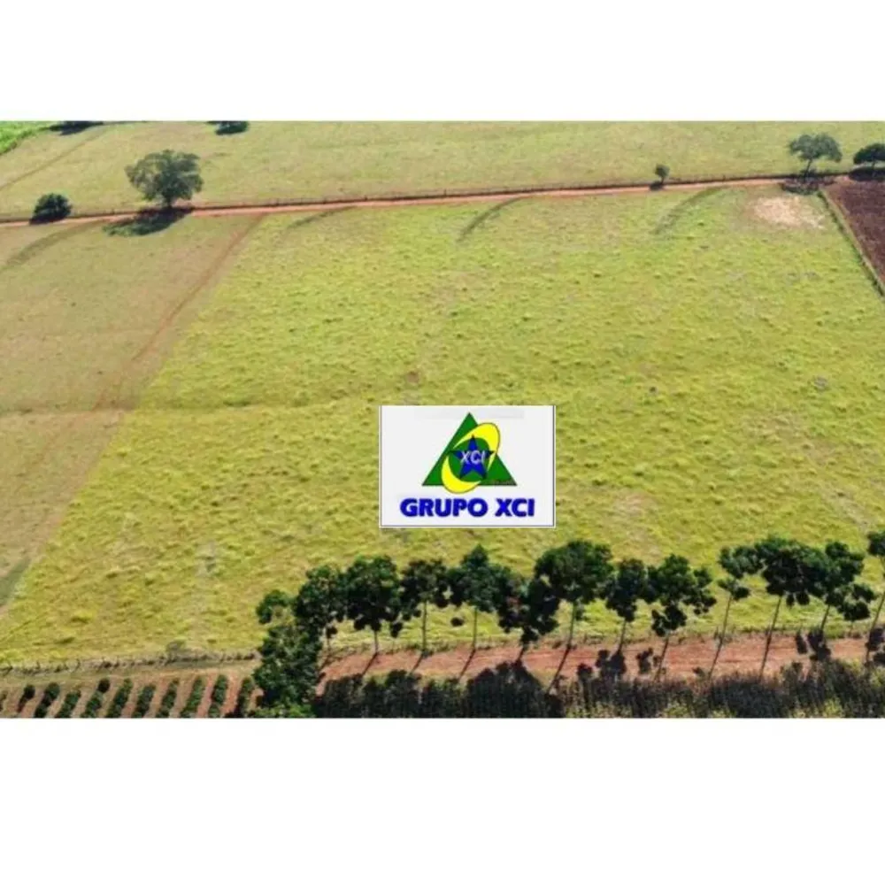 Fazenda, 16 hectares - Foto 4