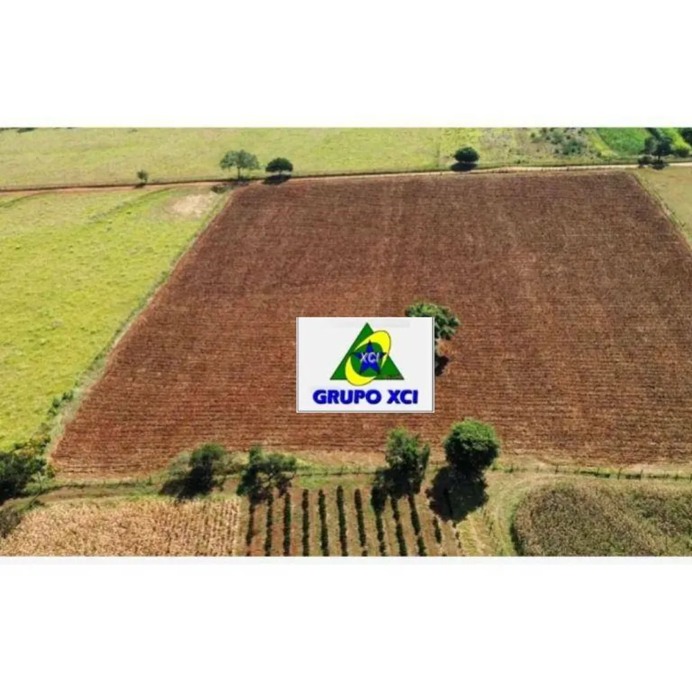 Fazenda, 16 hectares - Foto 3