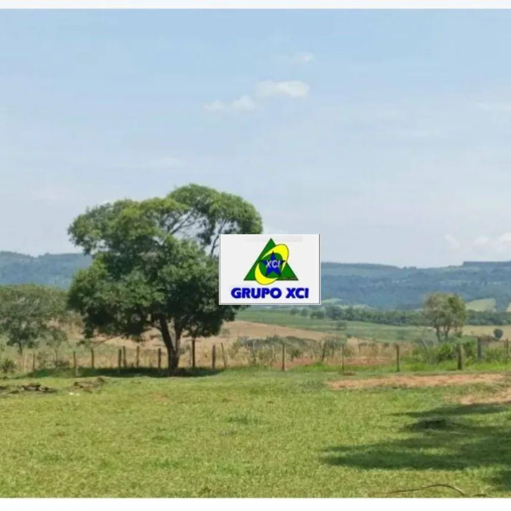 Fazenda, 16 hectares - Foto 8