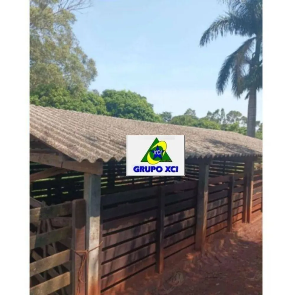 Fazenda, 16 hectares - Foto 2