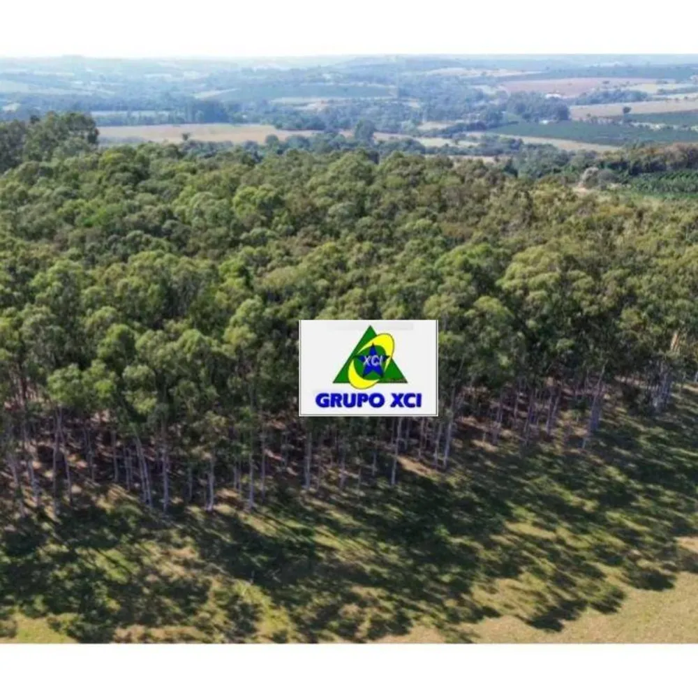 Fazenda, 16 hectares - Foto 6