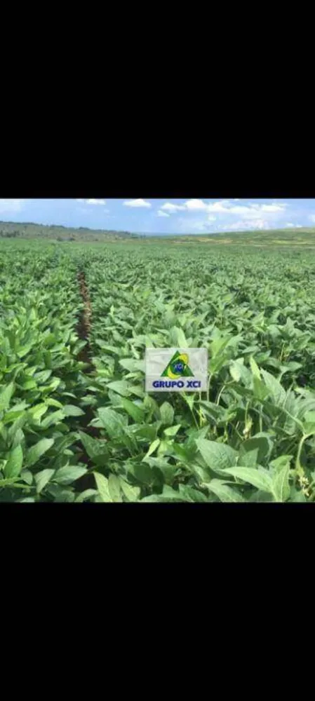 Fazenda, 400 hectares - Foto 1
