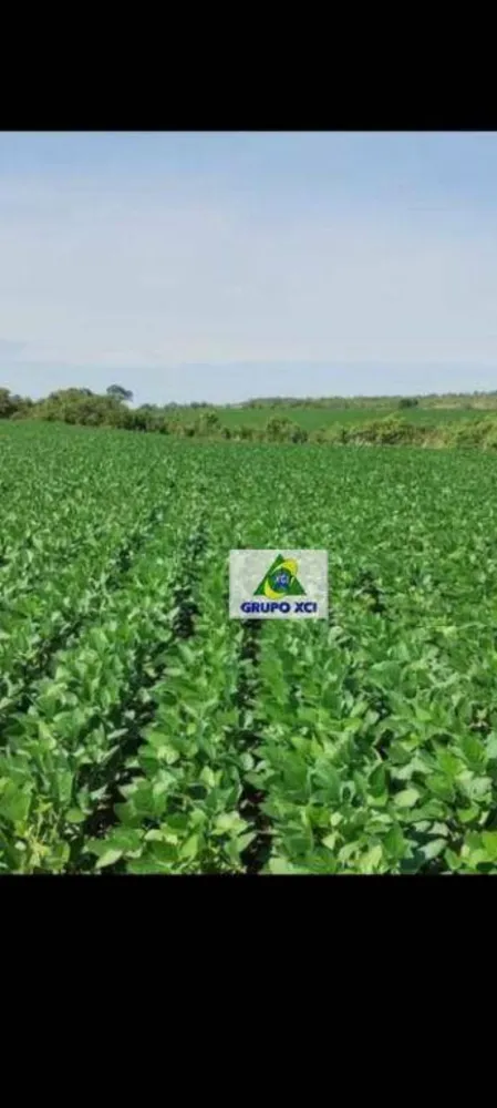 Fazenda, 400 hectares - Foto 1