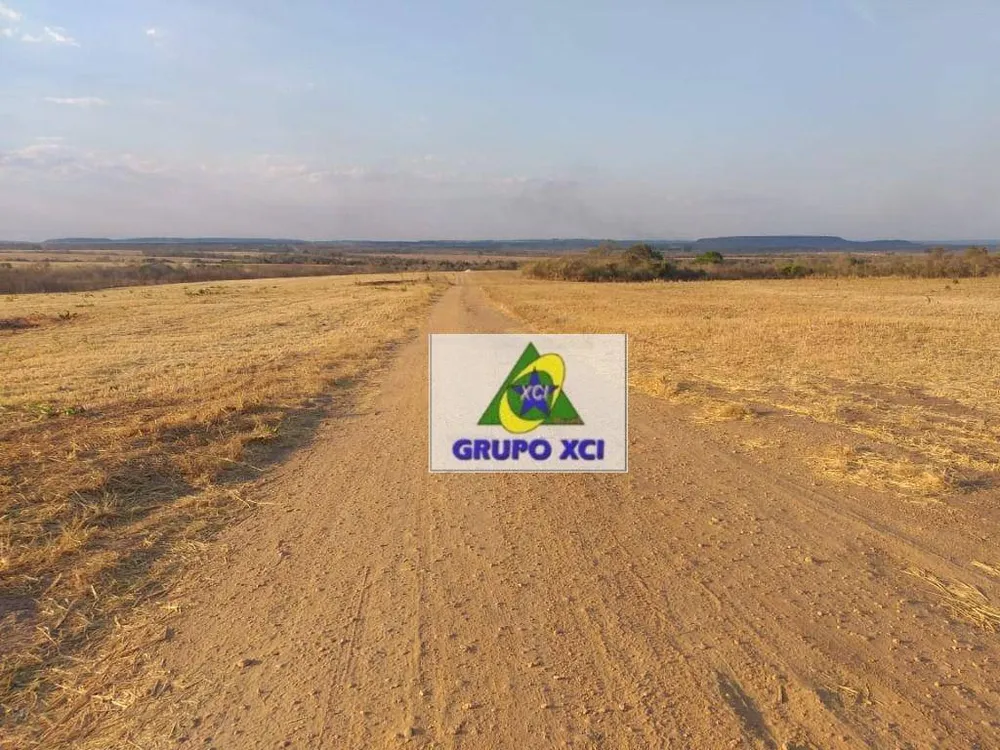 Fazenda, 400 hectares - Foto 6