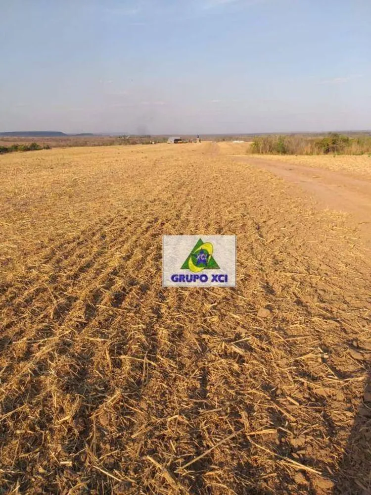 Fazenda, 400 hectares - Foto 2