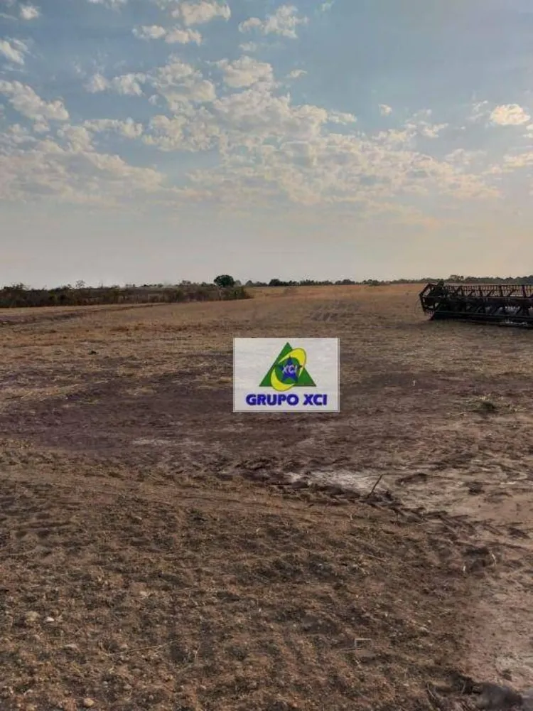 Fazenda, 400 hectares - Foto 12