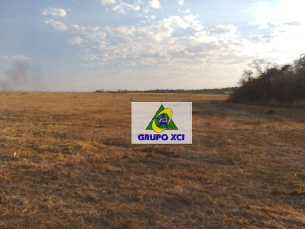 Fazenda, 400 hectares - Foto 11