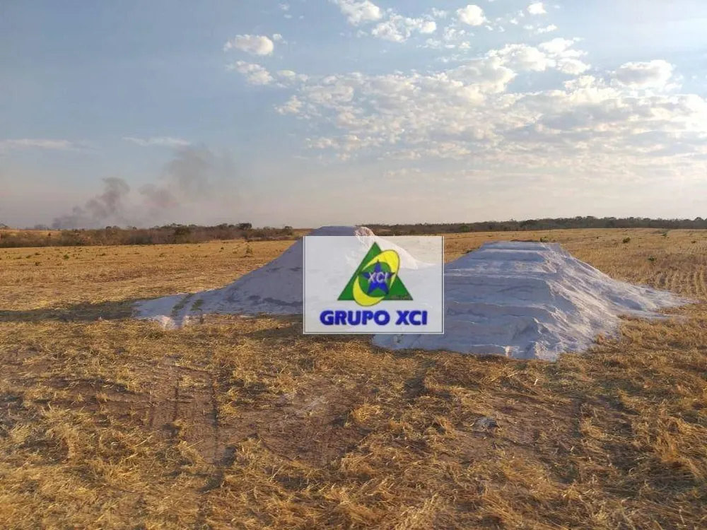 Fazenda, 400 hectares - Foto 8