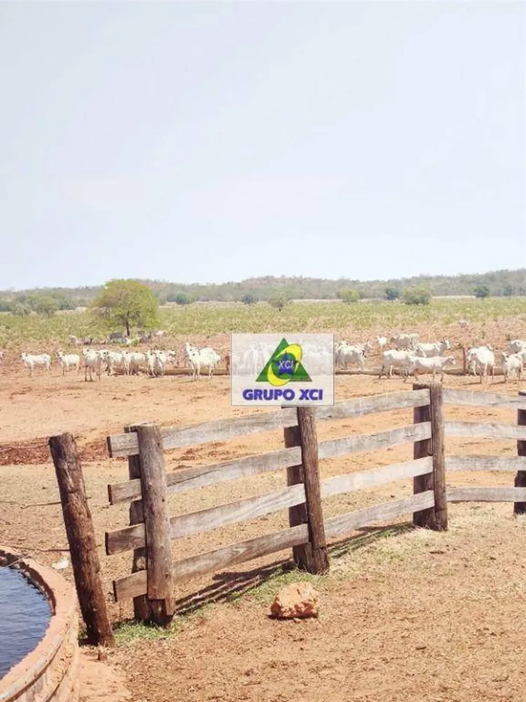 Fazenda, 13500 hectares - Foto 8