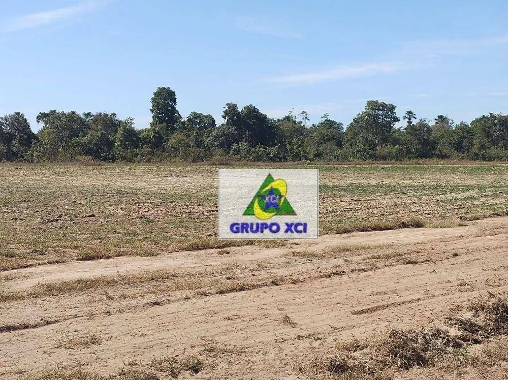 Fazenda, 13500 hectares - Foto 6