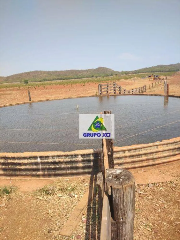 Fazenda, 13500 hectares - Foto 7