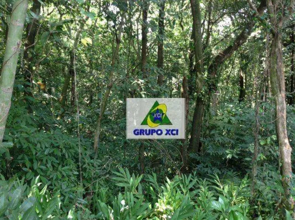 Chácara, 8922 m² - Foto 12