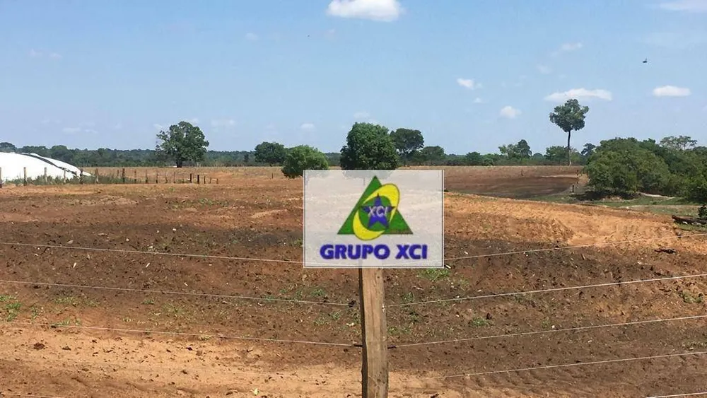 Fazenda, 2420 hectares - Foto 10