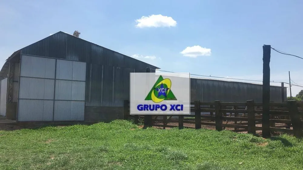Fazenda, 2420 hectares - Foto 6