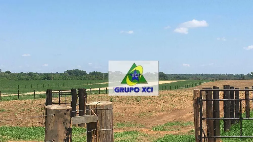 Fazenda, 2420 hectares - Foto 12