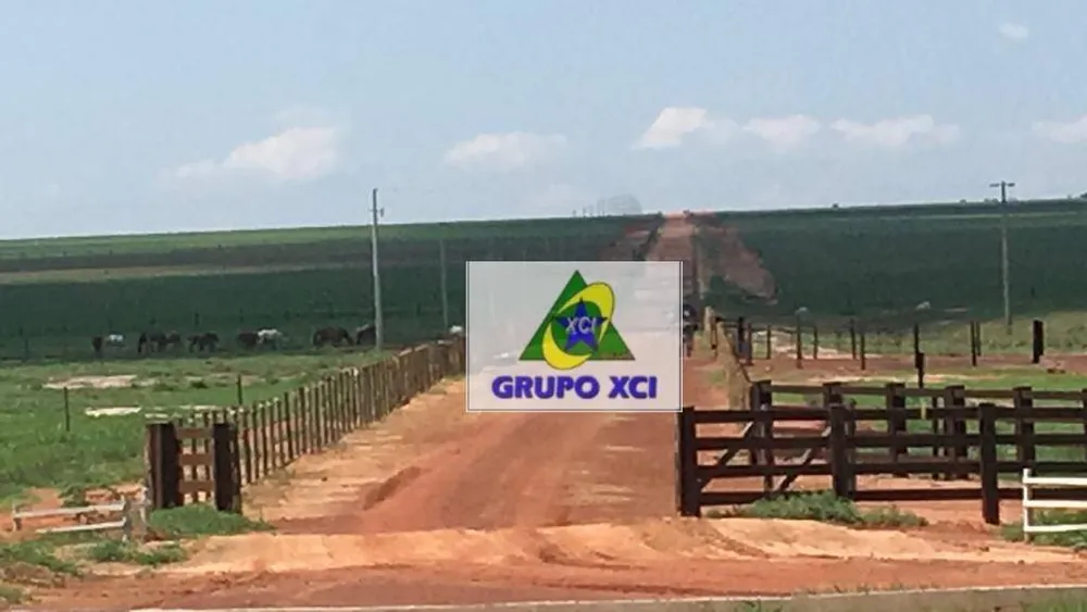 Fazenda, 2420 hectares - Foto 8