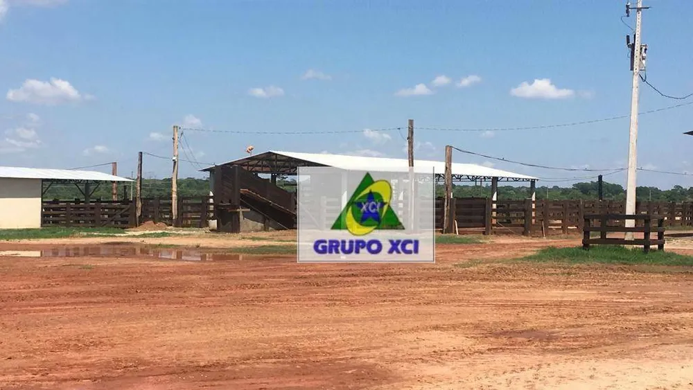 Fazenda, 2420 hectares - Foto 11