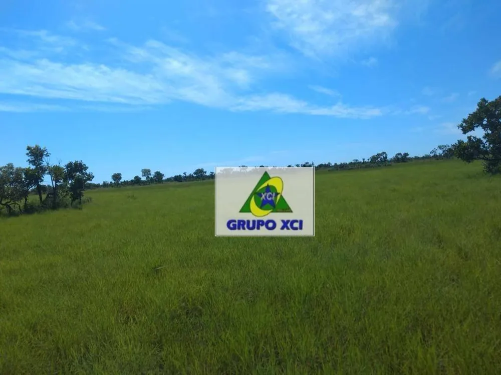 Fazenda, 14000 hectares - Foto 3