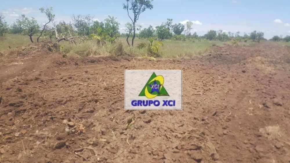 Fazenda, 14000 hectares - Foto 4
