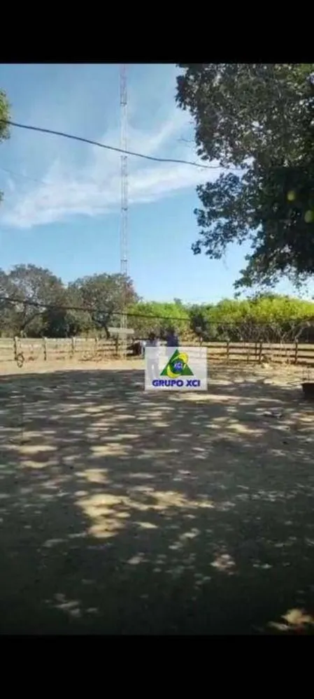 Fazenda, 14000 hectares - Foto 12