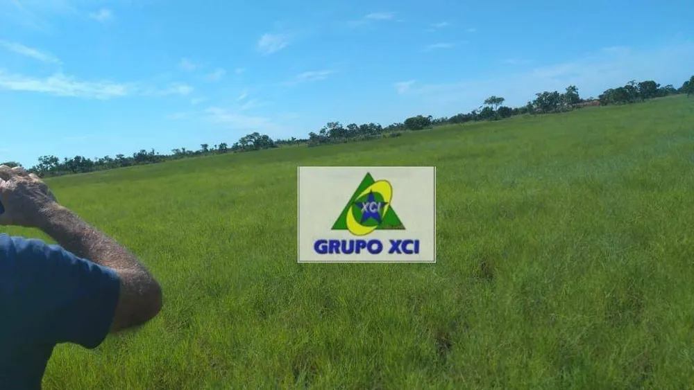 Fazenda, 14000 hectares - Foto 2