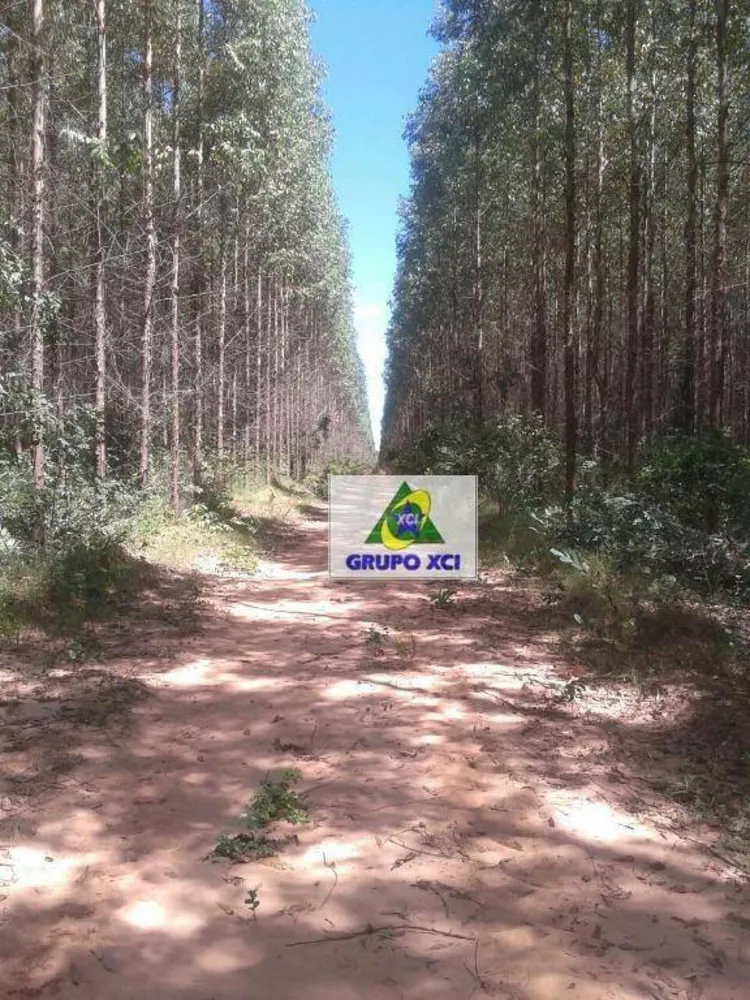 Fazenda, 6300 hectares - Foto 7