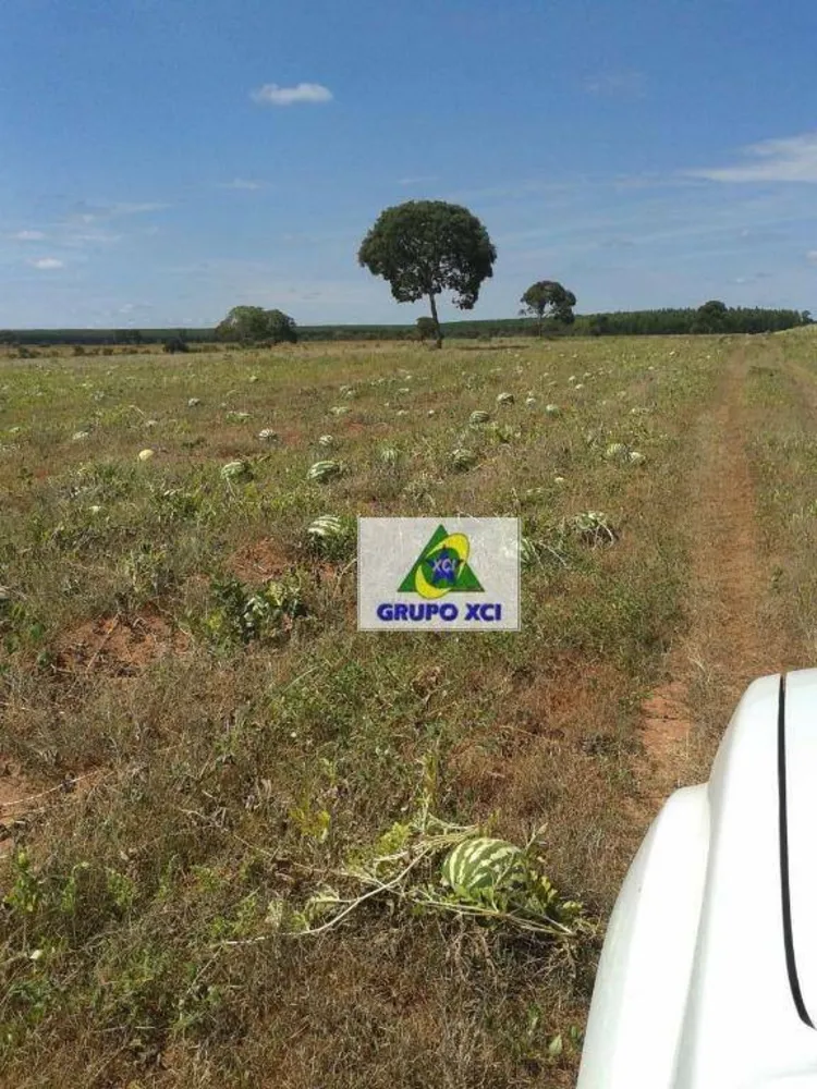 Fazenda, 6300 hectares - Foto 3