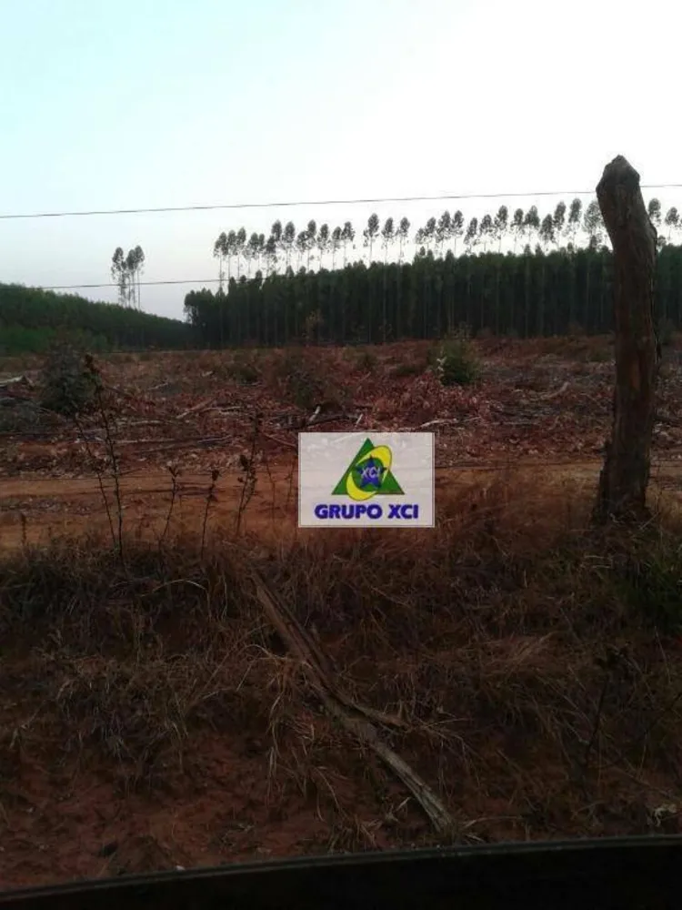 Fazenda, 6300 hectares - Foto 4