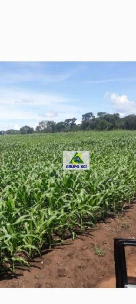 Fazenda, 1678 hectares - Foto 10