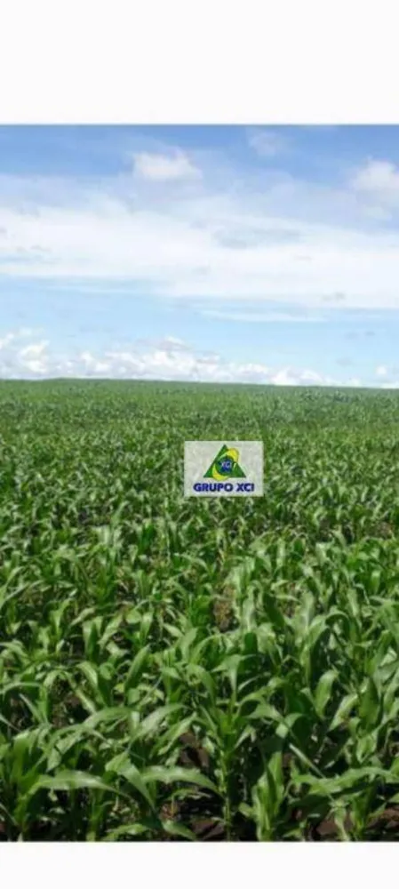 Fazenda, 1678 hectares - Foto 1