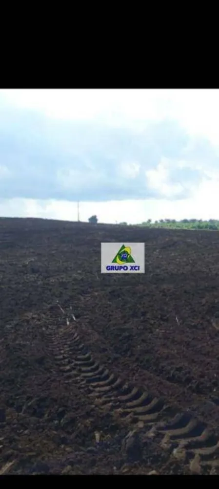 Fazenda, 1678 hectares - Foto 4