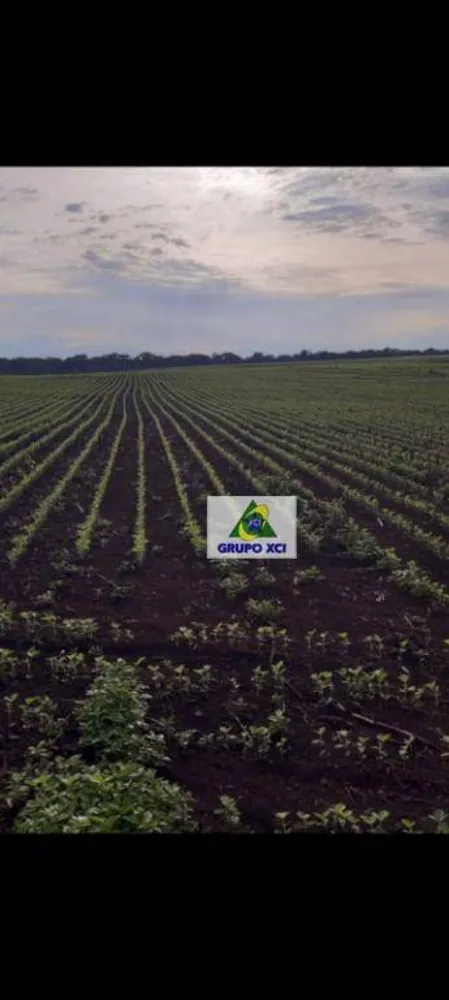 Fazenda, 1678 hectares - Foto 4