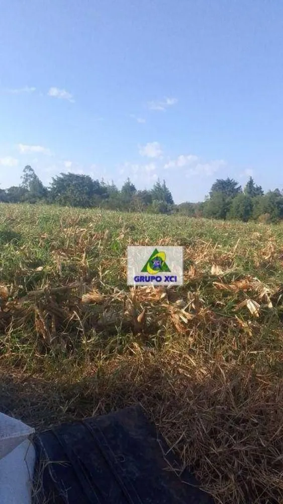 Sítio, 2 quartos, 4 hectares - Foto 7
