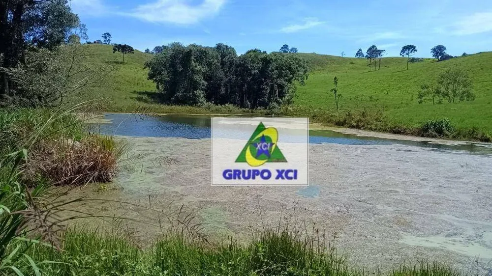 Fazenda, 83100 hectares - Foto 8