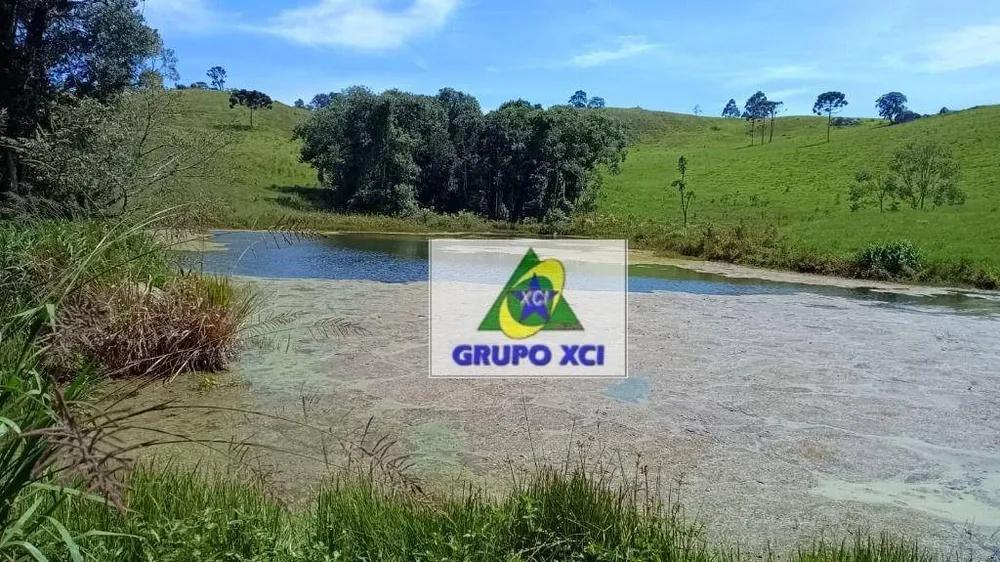 Fazenda, 83100 hectares - Foto 6