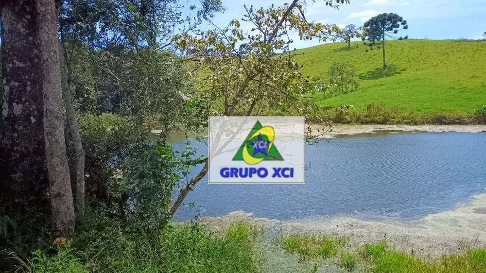 Fazenda, 83100 hectares - Foto 3