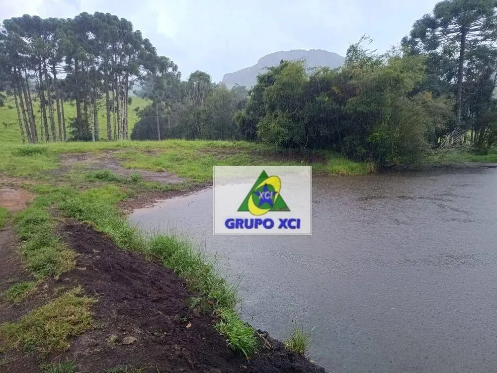 Fazenda, 83100 hectares - Foto 1