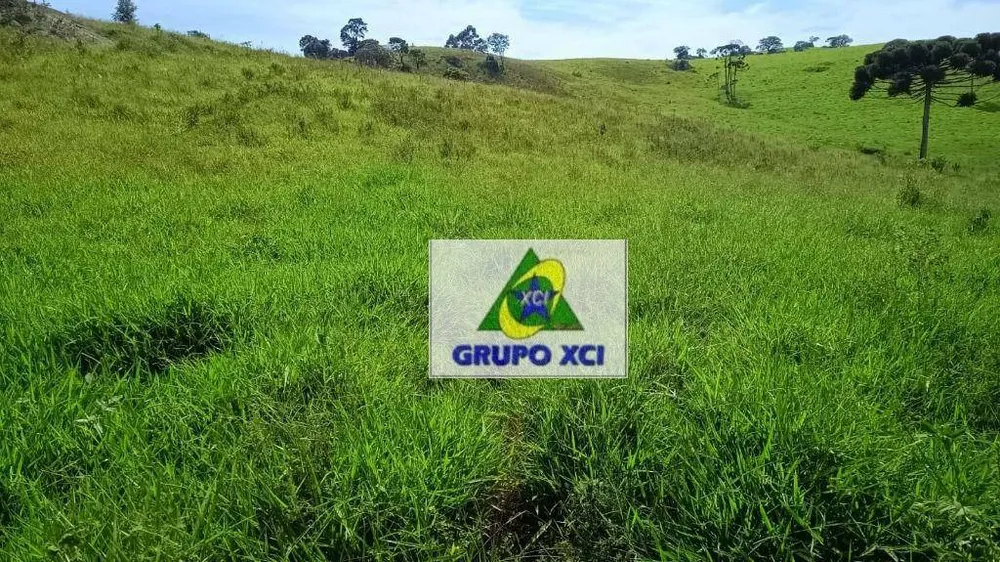 Fazenda, 83100 hectares - Foto 7